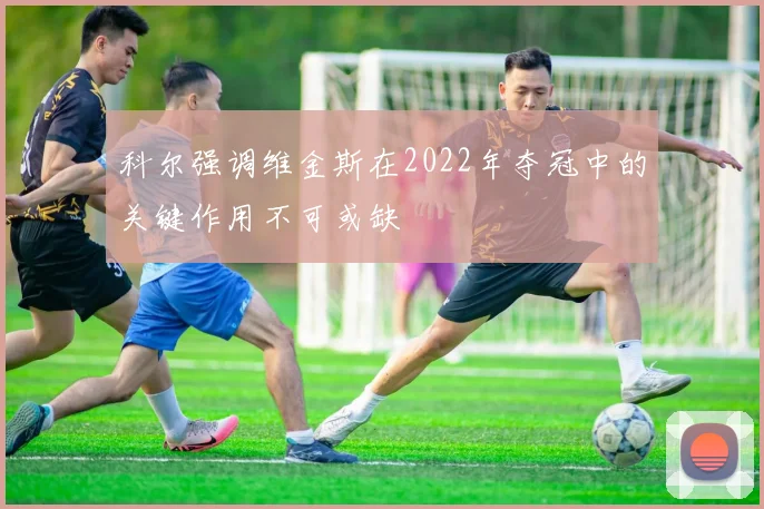 科尔强调维金斯在2022年夺冠中的关键作用不可或缺